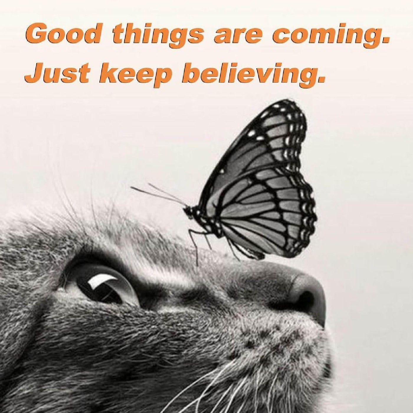 ThreeSixtyFive_ToYou #SEEUN365 #3652U