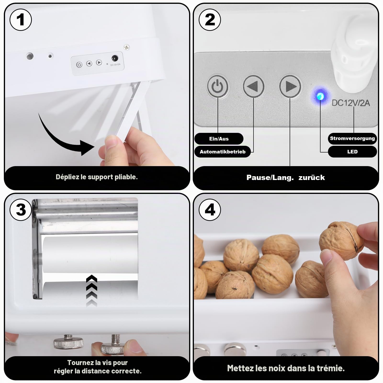 Casse Noix Electrique Casse Noisette électrique automatique robuste pour décortiquer les amandes, les noix de pécan, les noisettes et les noix noires - Pour toutes les noix