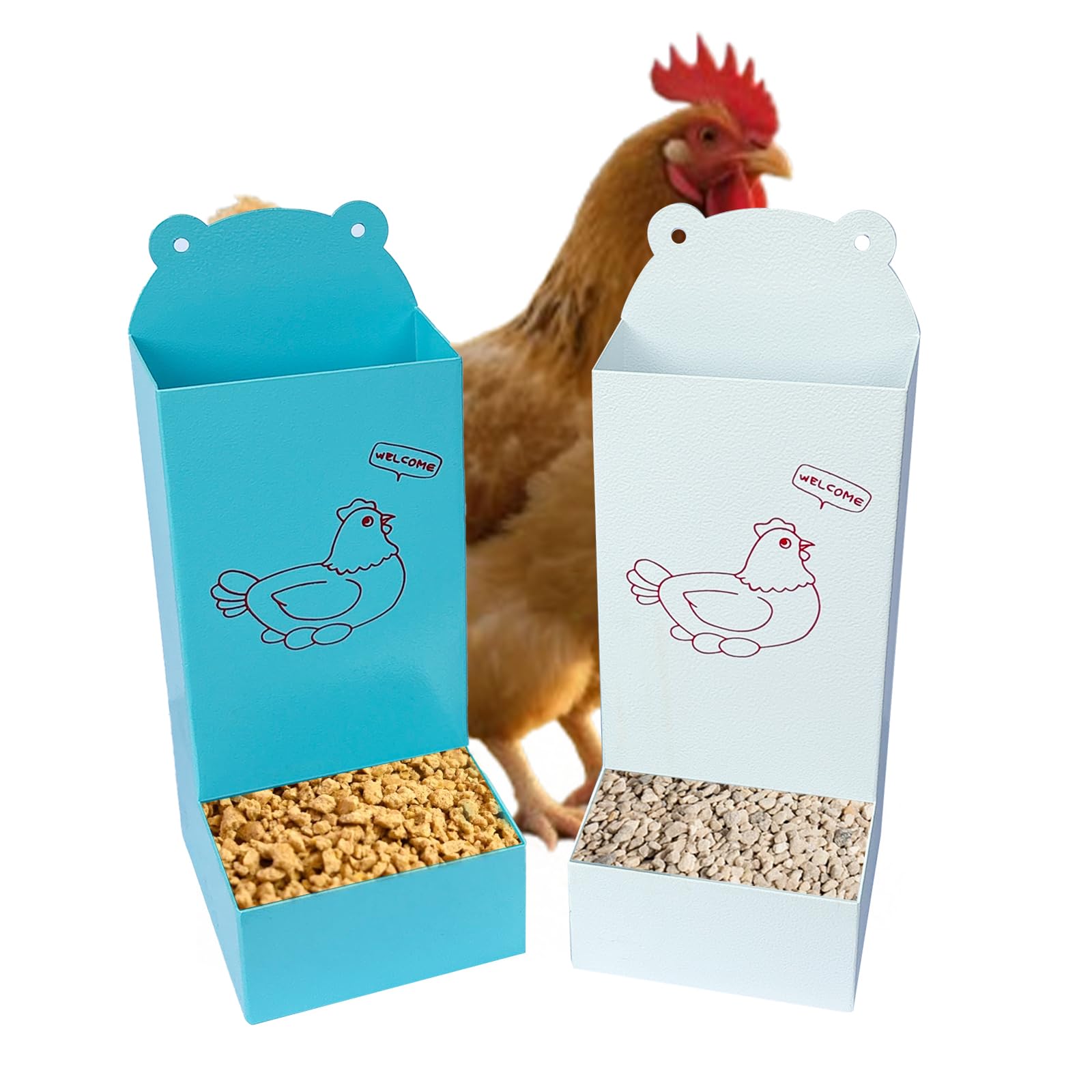 Chicken Oyster Shell Feeder and Automatic Gravity Chicken Feeder Combo (White + Blue)