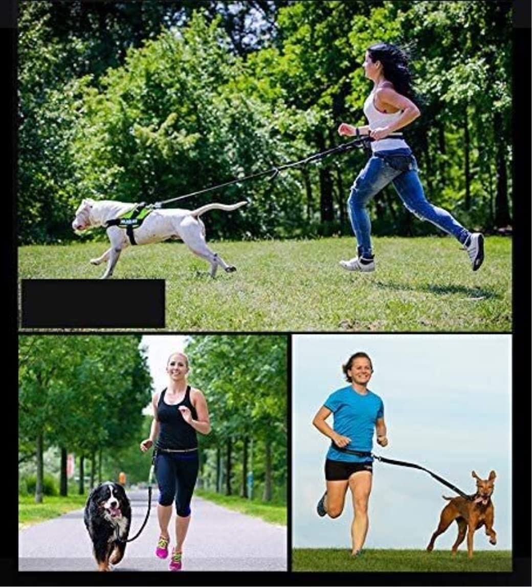 Guinzaglio Per Cani Guinzaglio Per Cani Da Corsa In Nylon A Mano Libera Prodotti Per Animali Domestici Collare Per Imbracatura Guinzagli Da Jogging Regolabili In Vita Guinzaglio Per Cani Regolabile(Bl