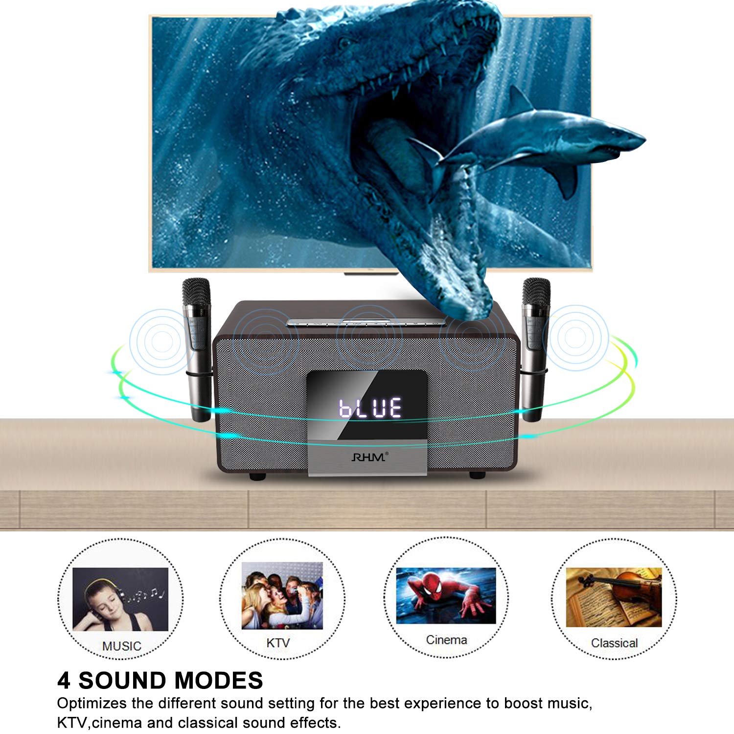 RHM Karaoke Machine for Adults & Kids with 2 UHF Wireless Microphones