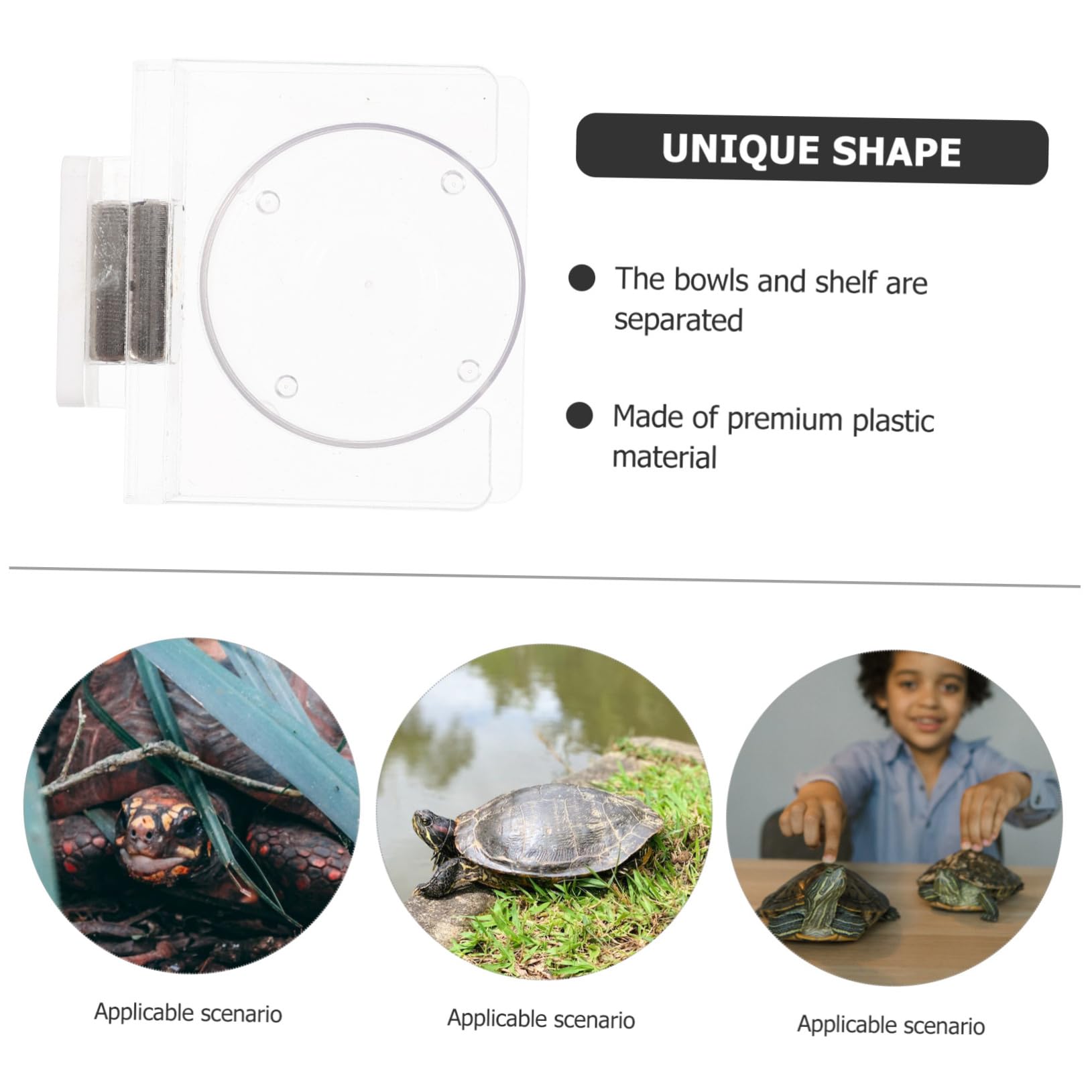BESPORTBLE 5pezzi Mangiatoia per Rettili Ciotola per e Accessorio per Terrari e Tartarughe Facile Compatibile Rettile