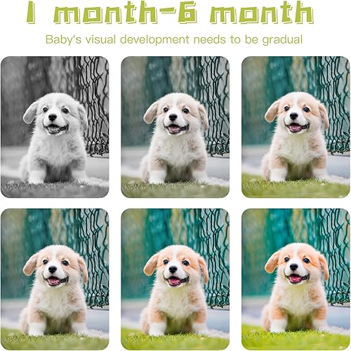 Miniatura 2 de Tarjetas flash para bebés de alto contraste, tarjeta de estimulación visual con blanco y negro, juguetes coloridos para bebés recién nacidos