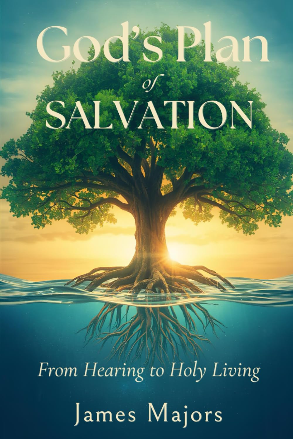 God's Plan of Salvation: The Journey from Hearing to Holy Living