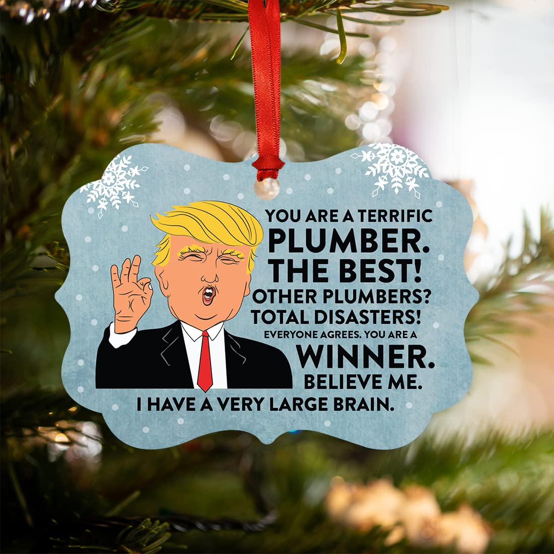 Andaz Press President Donald Trump Fancy Frame Keepsake Christmas Ornament Gag Gift, Terrific Plumber, 1-Pack, Funny Metal Holiday Present Ideas Republican Political Plumber Christmas Ornament