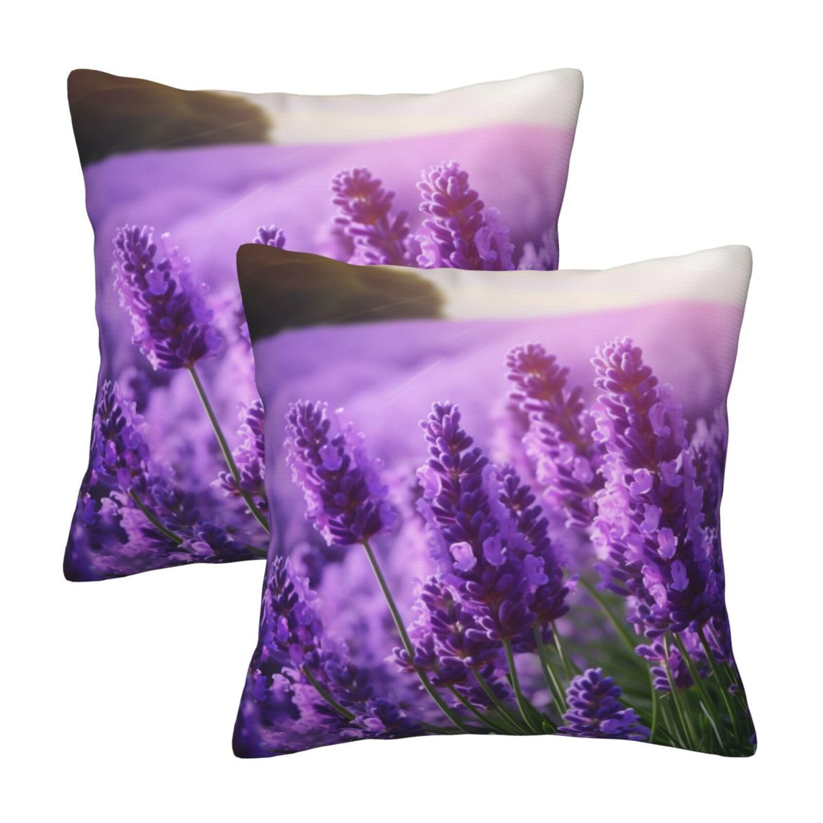 Purple Lavender Throw Pillow Cases 2 Pack Square Pillowcases Soft Pillow Protectors for Couch Livingroom Sofa Bed Office Car,30x30 CM