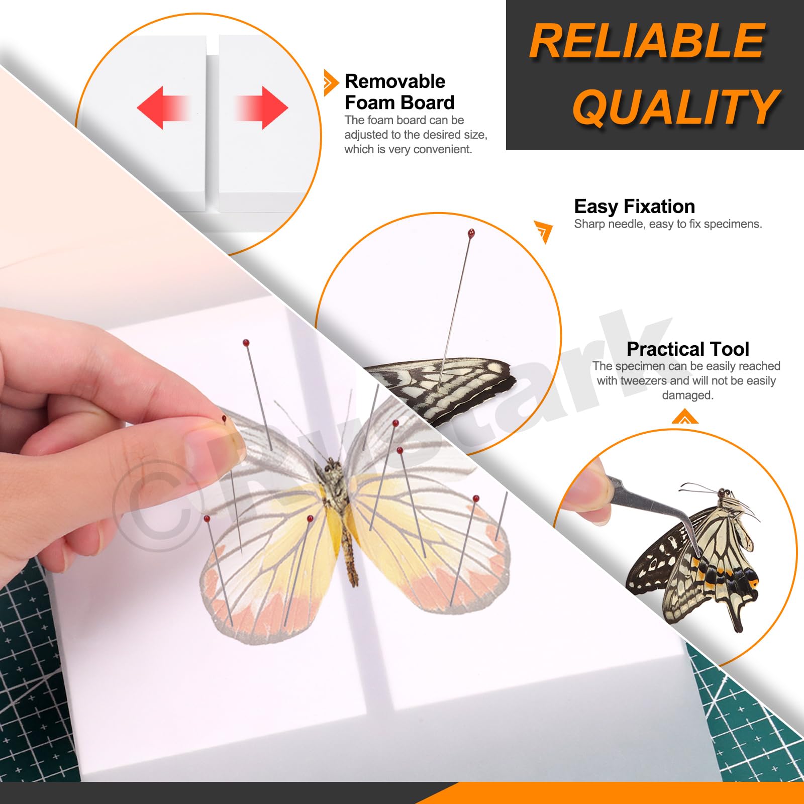 Rustark 114Pcs Making Insect Specimen Tools Kit Insect Pinning Kit with Insect Pinning Block Insect Pins Wings Pressing Paper Insect Pinning Board Entomology Supplies for Bugs Collection Science - Image 4