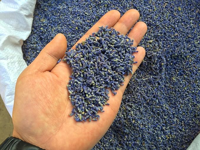 TooGet Capullos de Lavanda Ultra Blue Secos - 225g miniatura 3