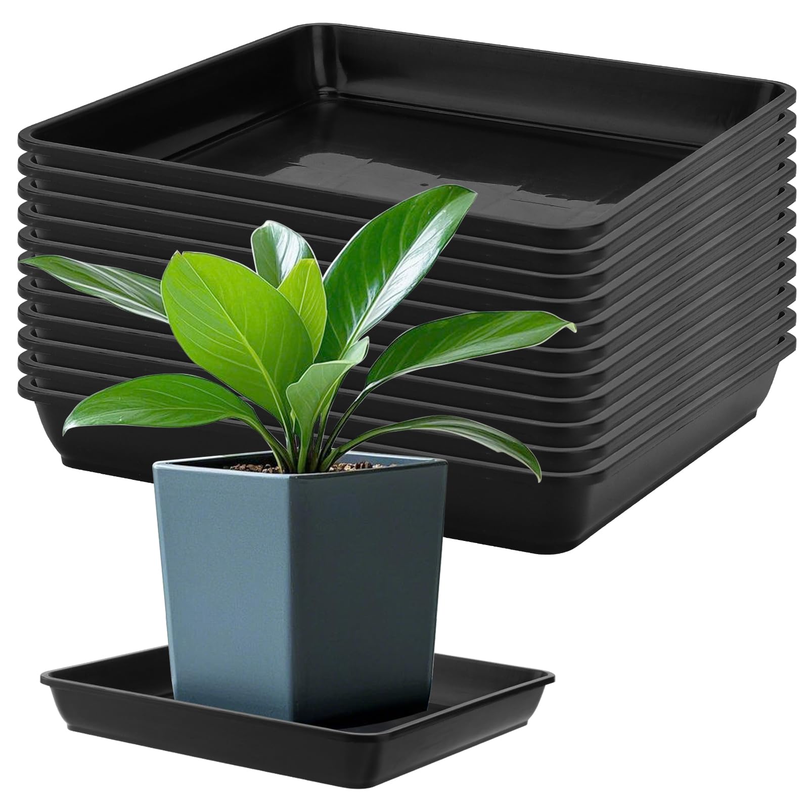 ZOENHOU 12Pcs Square Plant Pot Saucers, Black Plastic Plant Trays, Drip Tray For Pots, Square Flower Pot Saucers, 29.1 x 4cm, Inner Diameter 277mm,3L