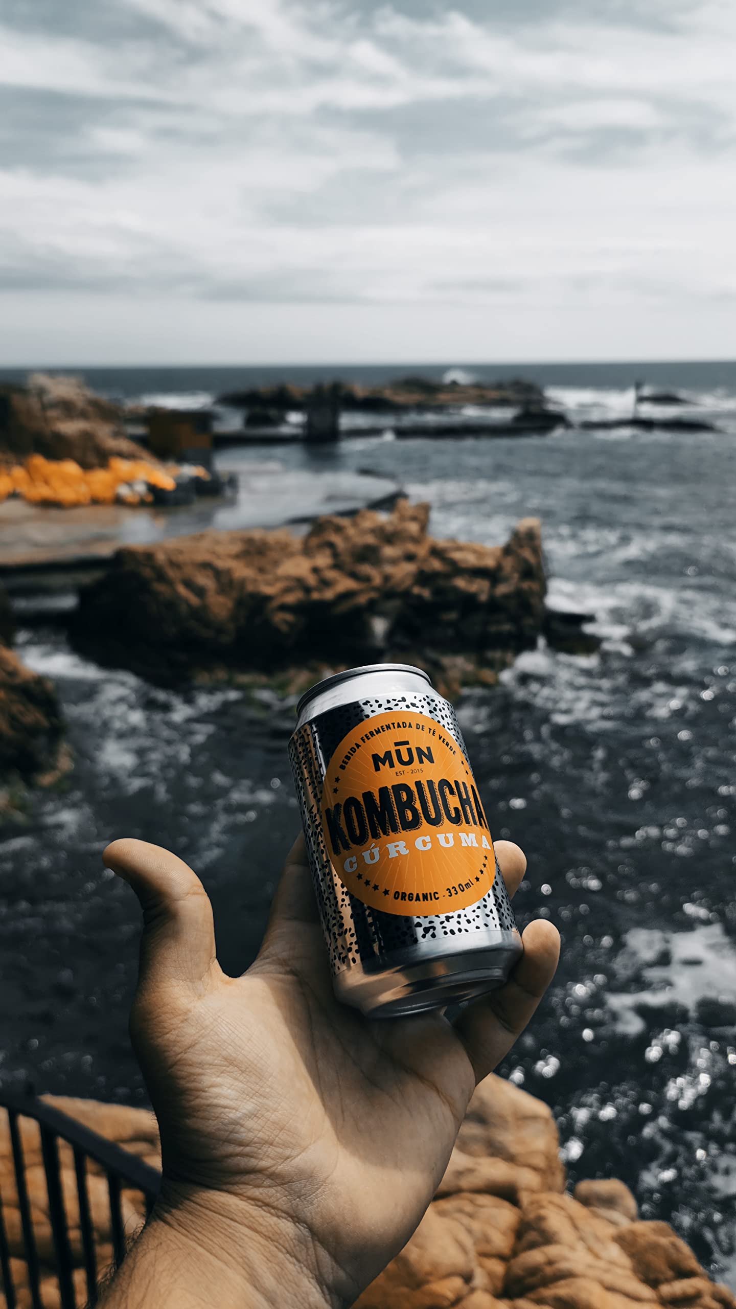 MUN KOMBUCHA ORGANIC - Confezione Mix 12 x 330 ml | Tè Kombucha Biologico e Probiotico Naturale | Senza Zucchero e Basso Contenuto Calorico, Senza BPA | Rinfrescante e Digestivo