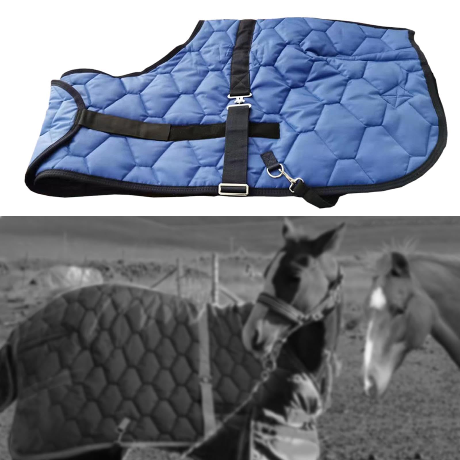 Winterdecke für Pferde, Putzdecke, Warme Pferdedecke, Warme Decke für Ställe Und Ausritte