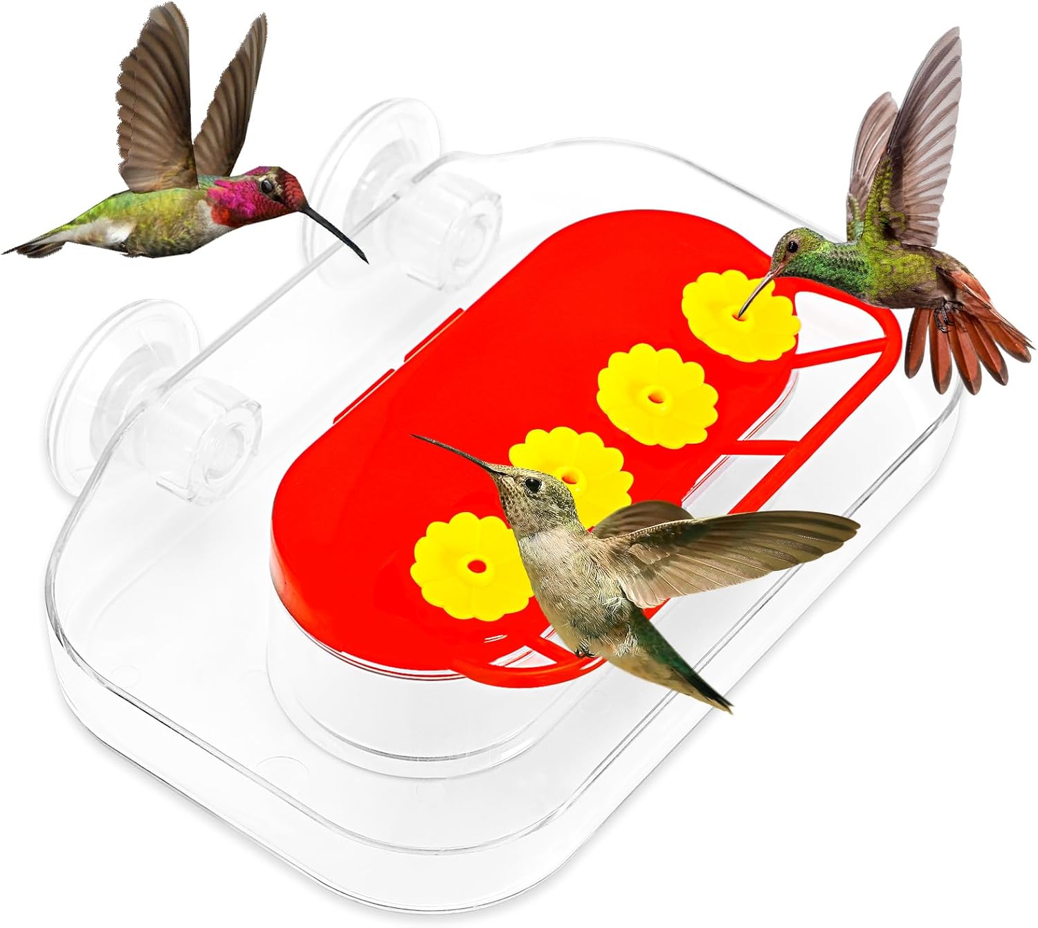 Window Hummingbird Feeders, Strong Suction Cups
