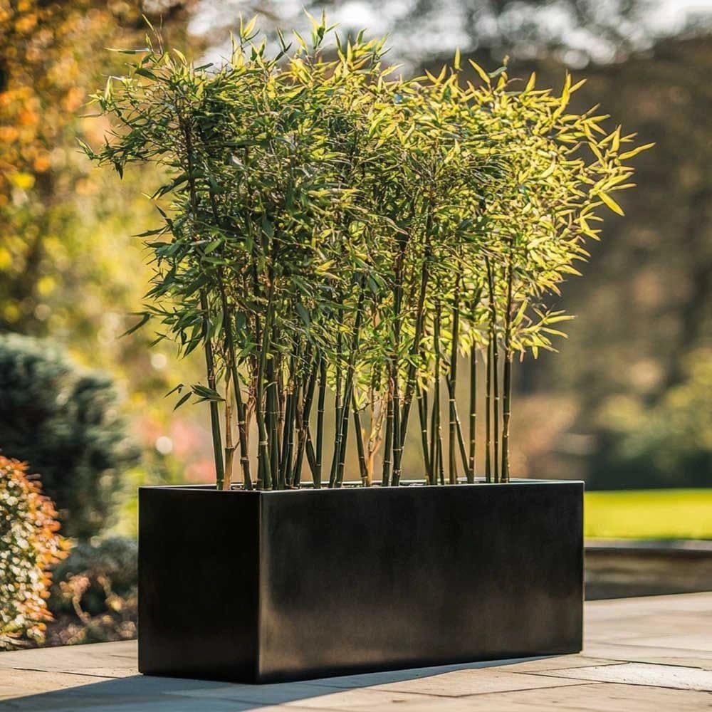 Tulipy 1.2m/1m/75cm/70cm Zinc Galvanised Trough Planter | No Assembly Needed | Lightweight (Platinum Black, L100cm x W40cm x H40cm)