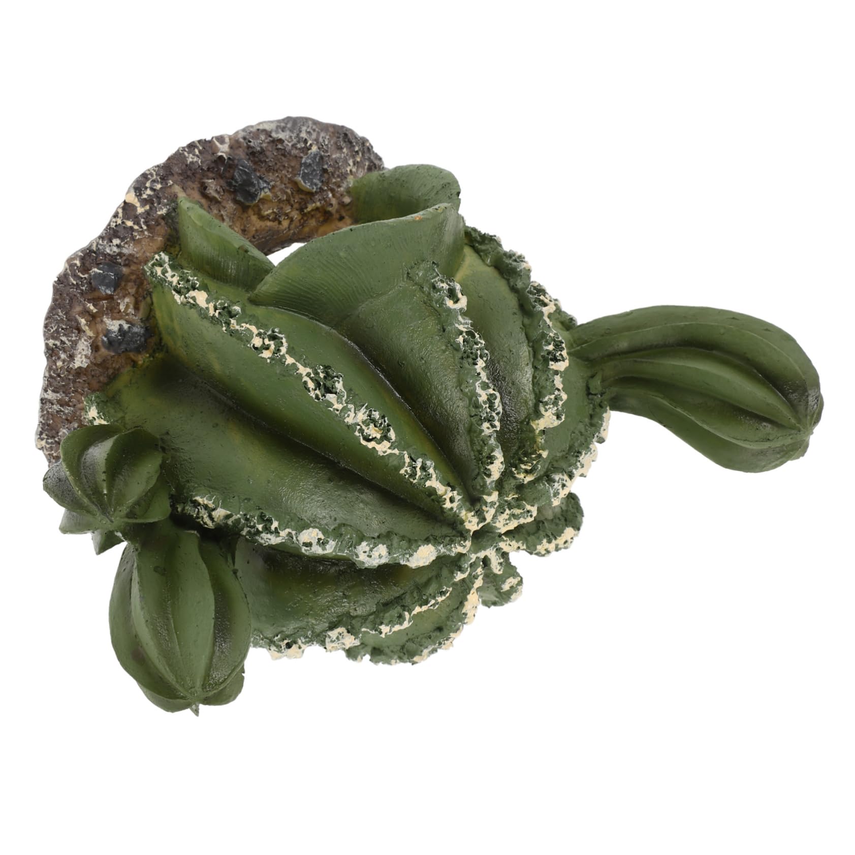 BESPORTBLE 4piezas Cueva Oculta De Cactus para Reptiles Refugio Decorativo De para y Serpientes Multiusos para Terrario y Hábitat Natural