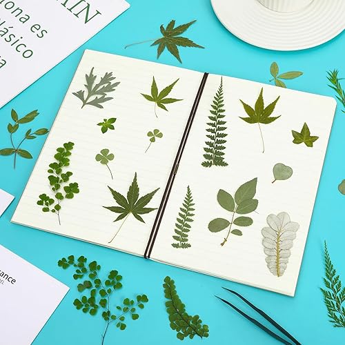 Vista 25 de Augshy 141 flores secas prensadas para resina, flores secas naturales reales prensadas para manualidades, moldes de resina, álbumes de recortes, 5