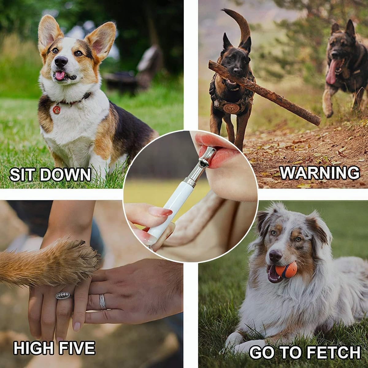 2 Pack Hundepfeife, Hundepfeife, um das Bellen von Nachbarn zu stoppen, verstellbare Ultraschall leise Hundepfeife, professionelle Rückruf-Hundetrainingspfeife mit Umhängeband (4)