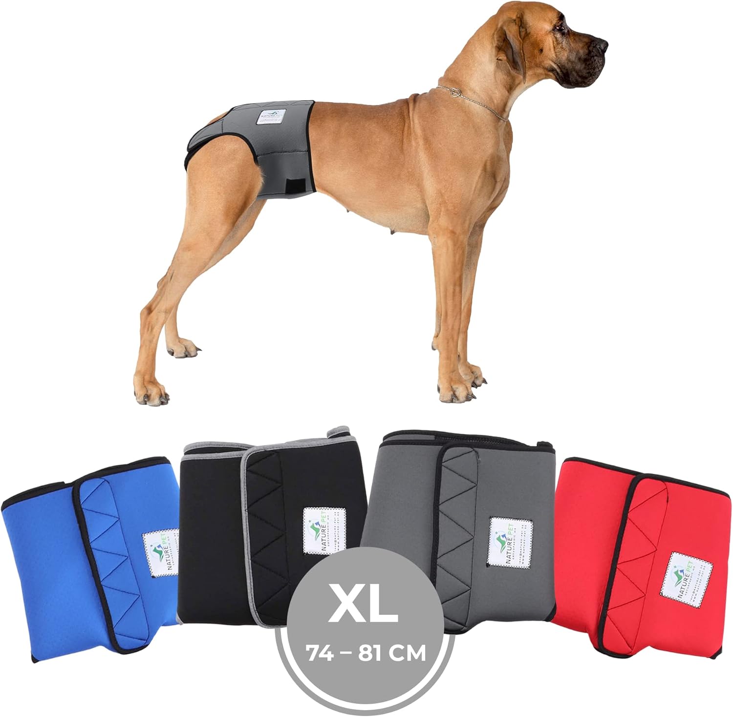 incontinence pants for female dogs