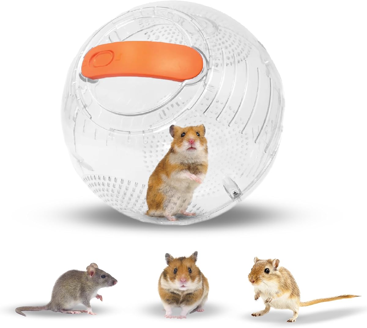 Clear Hamster Exercise Ball 7” – Pet Rat Accessories | Sturdy Dwarf Hamster Ball for Safe, Active Play – Ventilated Small Animal Toys for Gerbils, Mice & Other Small Pets