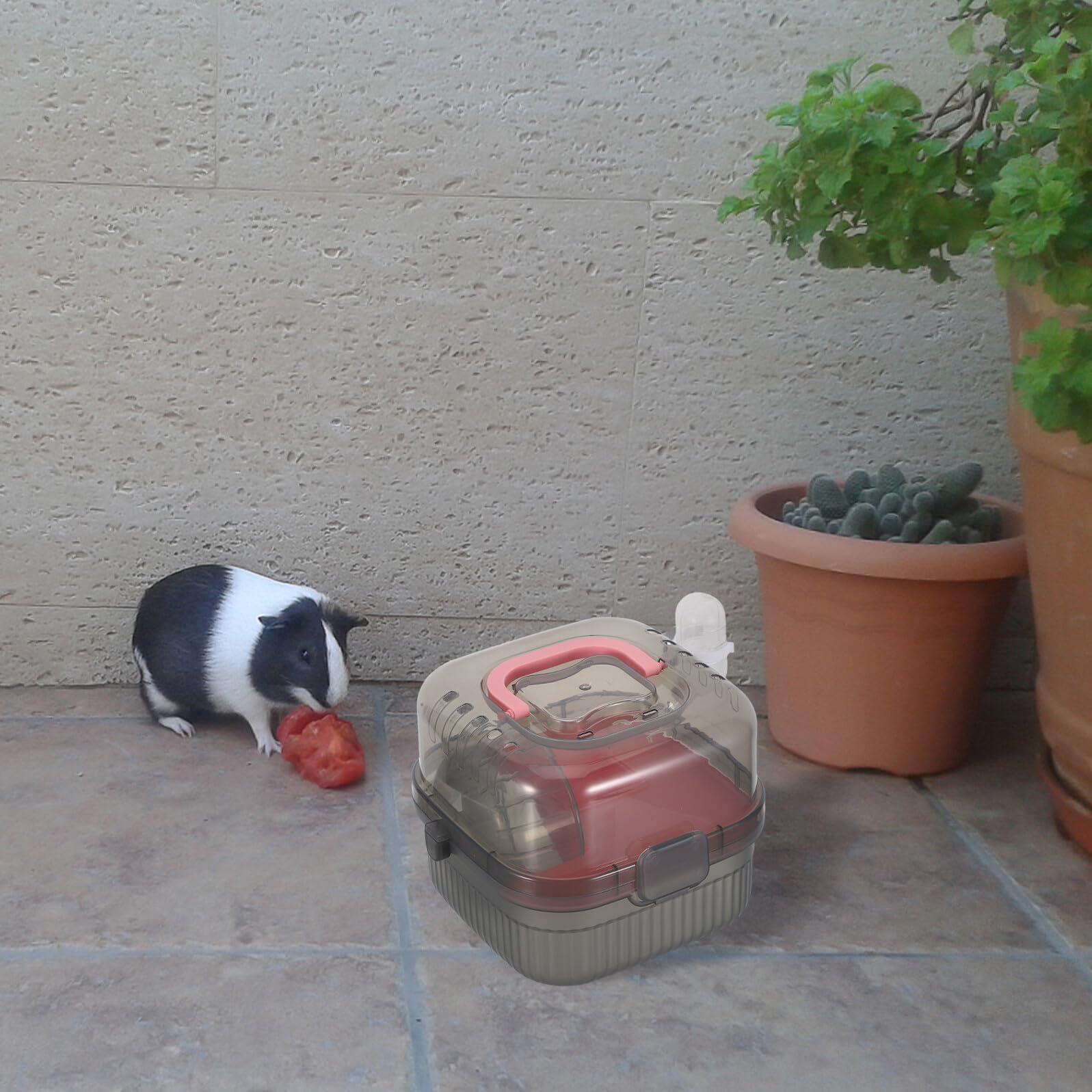 Toddmomy Trasportino per Piccoli Animali da Viaggio Doppio Strato per Criceti Cincillà e Furetti Custodia Protettiva Base Rimovibile per Pulizia Semplice e Prese d Aria per Ventilazione