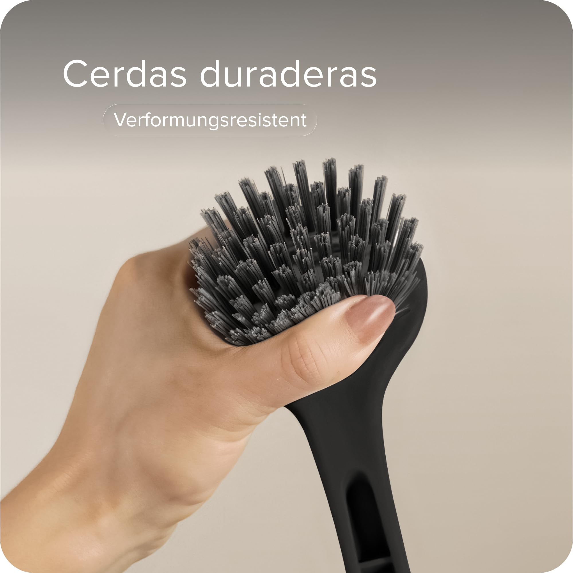 Cepillo Cocina Set de 2 Antibacteria Cerdas Duras Negro