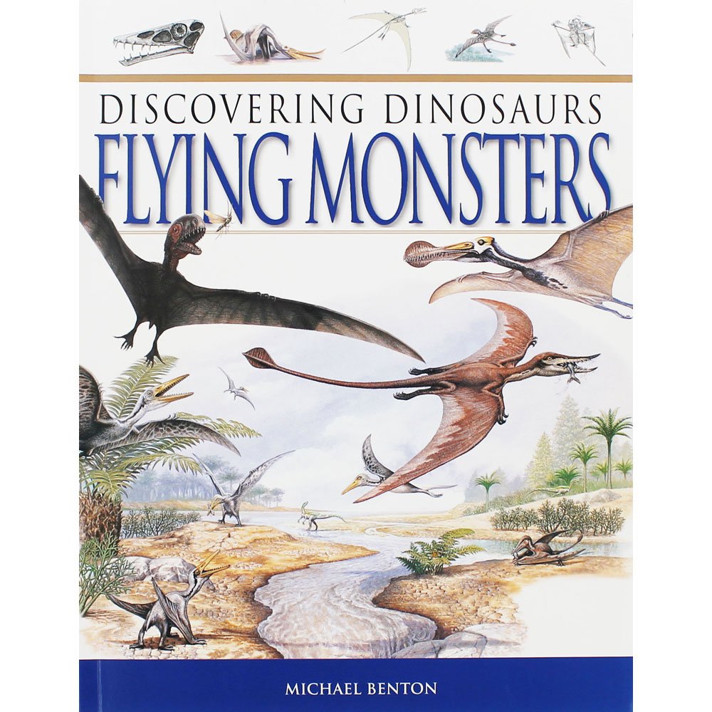 Discovering Dinosaurs Book - Assorted