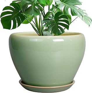 Ceramicfor Ceramic Planter Pot, 10 Inch Plant Pot, Reactive Green