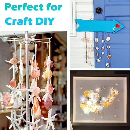 Miniatura 6 de Aunifun 100 conchas marinas mixtas de playa, conchas marinas naturales coloridas para hacer velas, decoración del hogar, fiesta temática de playa,