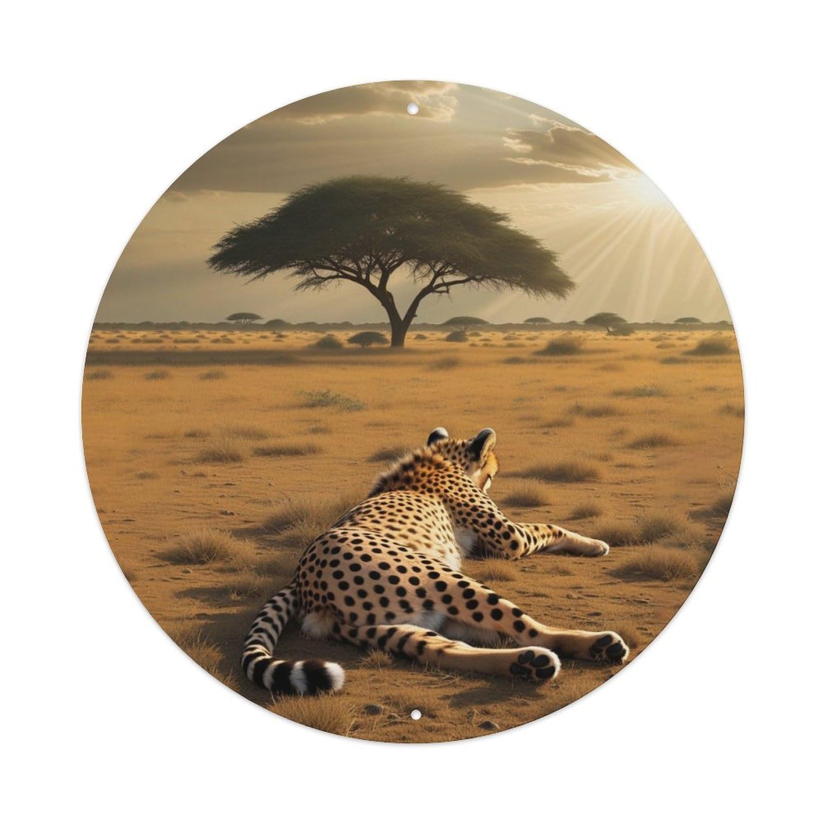 Cwbufd Vintage Style Animal Cheetah African Savanna Landscape Sunrise Wildlife Photography Vintage Metal Tin Sign Plaque Wall Decor For Cafe, Club Bar, Office, Garden Metal Poster 8X8inch