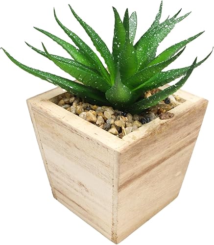 Miniatura 6 de Ebros Gift Juego de 4 suculentas botánicas artificiales realistas en maceta cuadrada de 4.75 pulgadas de alto, plantas de imitación bonsái, helecho,