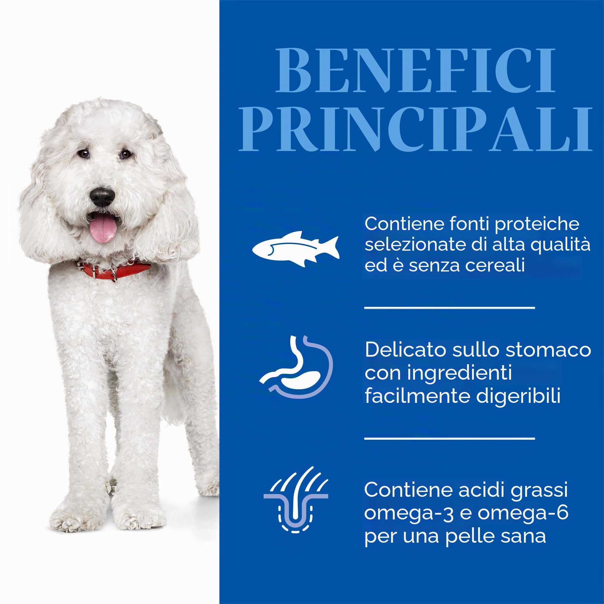 HILL'S ADULT CANINE HYPO MEDIUM SALMONE 12 KG
