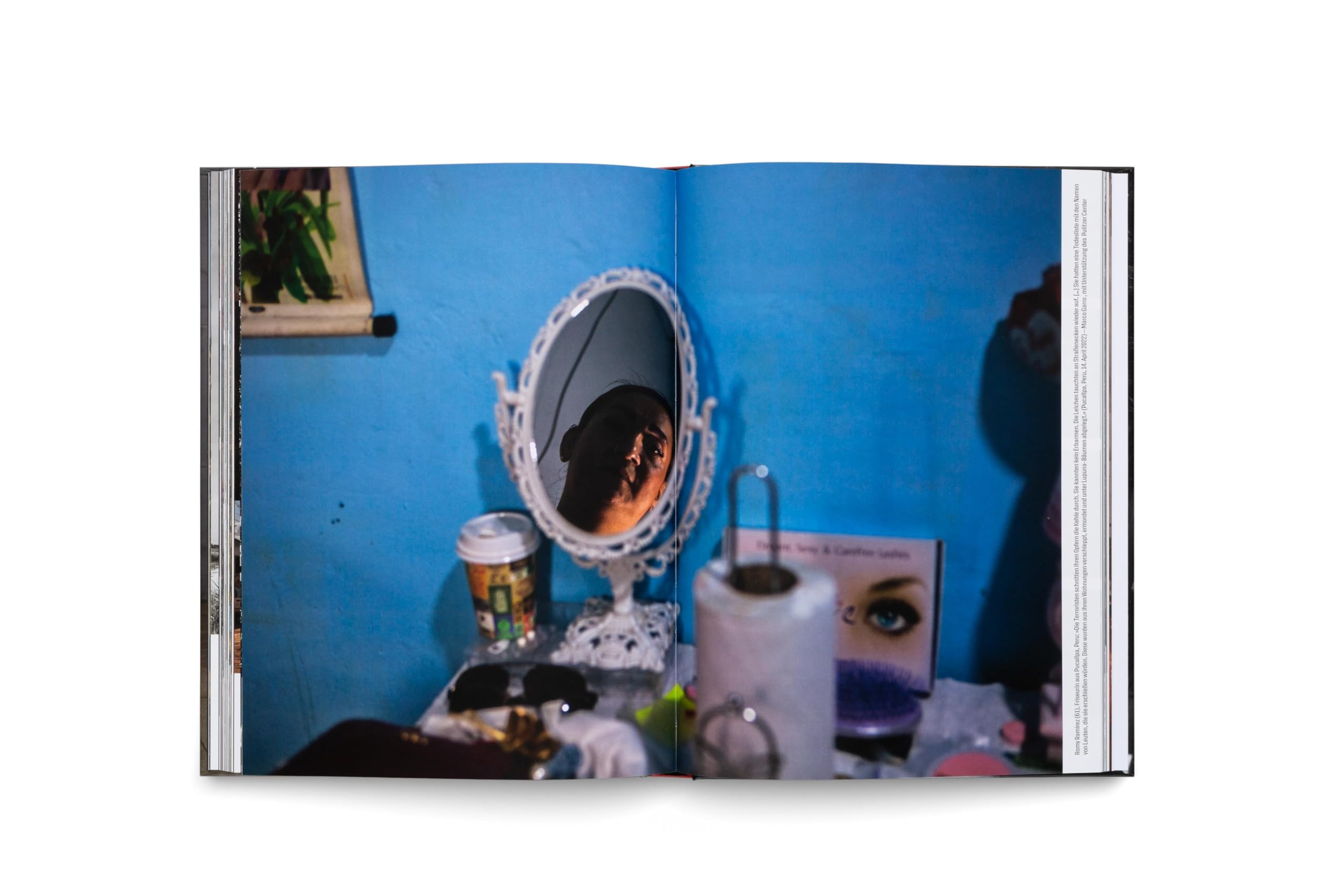 World Press Photo Yearbook 2024 | Deutschsprachige Ausgabe (World Press Photo Jahrbuch, Band 2024)