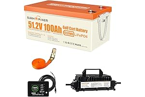 48V 100Ah Lithium Golf Cart Battery Kit with Bluetooth and Fast Charger
