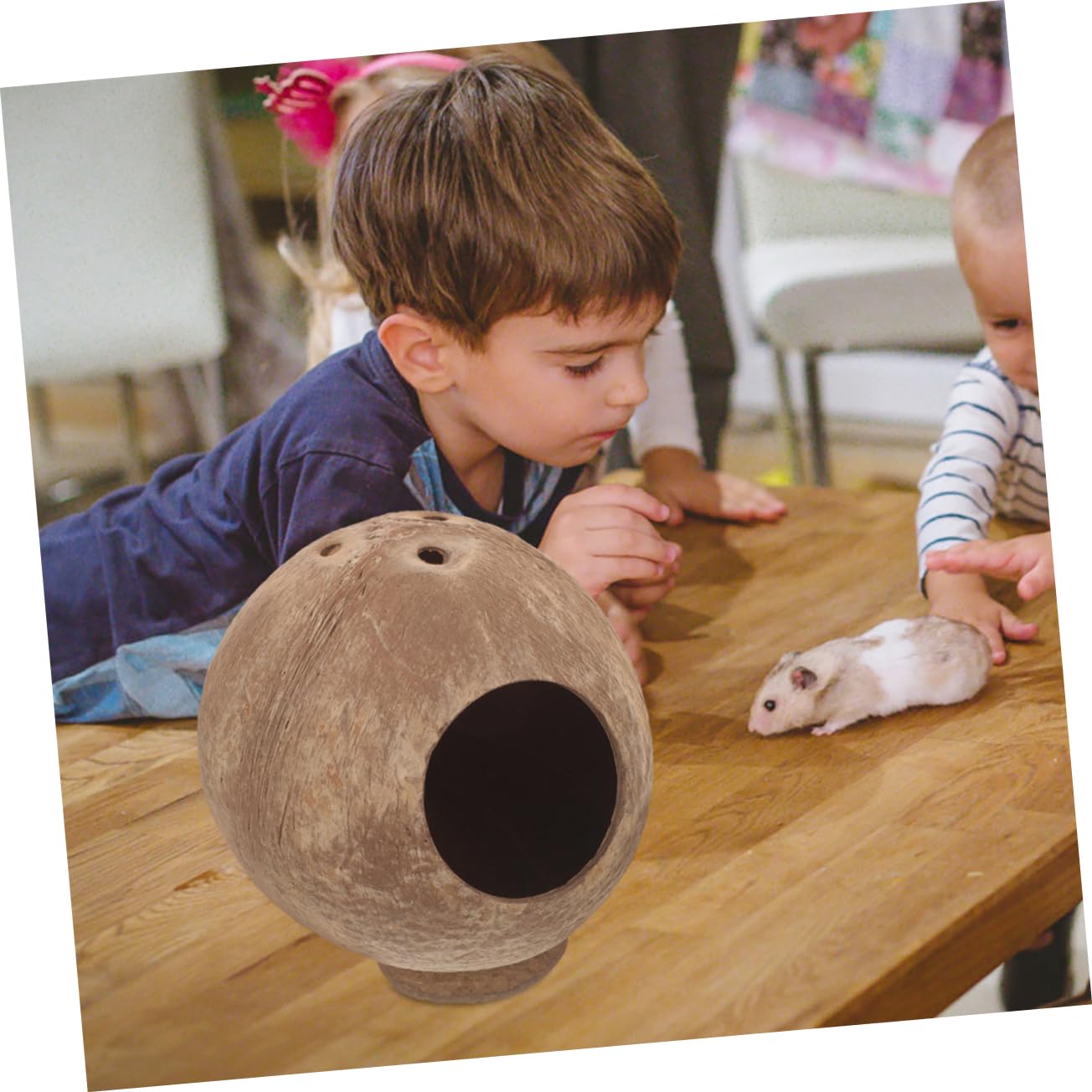 PRETYZOOM 4 Pièces Jouet Nid De Hamster Cachette De Hamsters Un Hamster Frappe Une Maison Cachette De Rat à La Maison Accessoires De Jouets De Cachette De Cobaye Coquille De