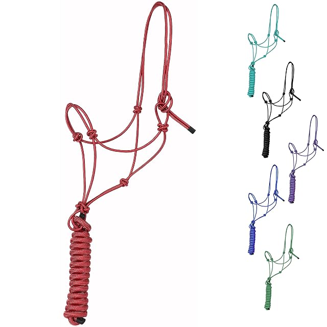 Majestic Ally Cabestro de entrenamiento de poliéster rígido de 1/4 pulgadas con cuerda de plomo a juego de 10…