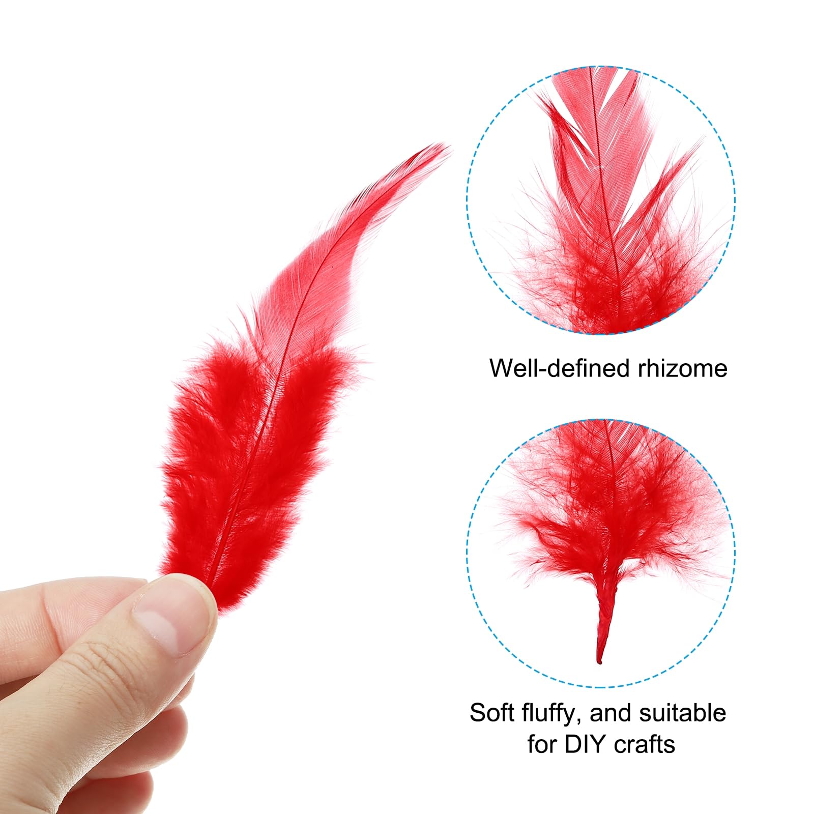 PATIKIL 3-5 Inch Rooster Feathers - Image 3