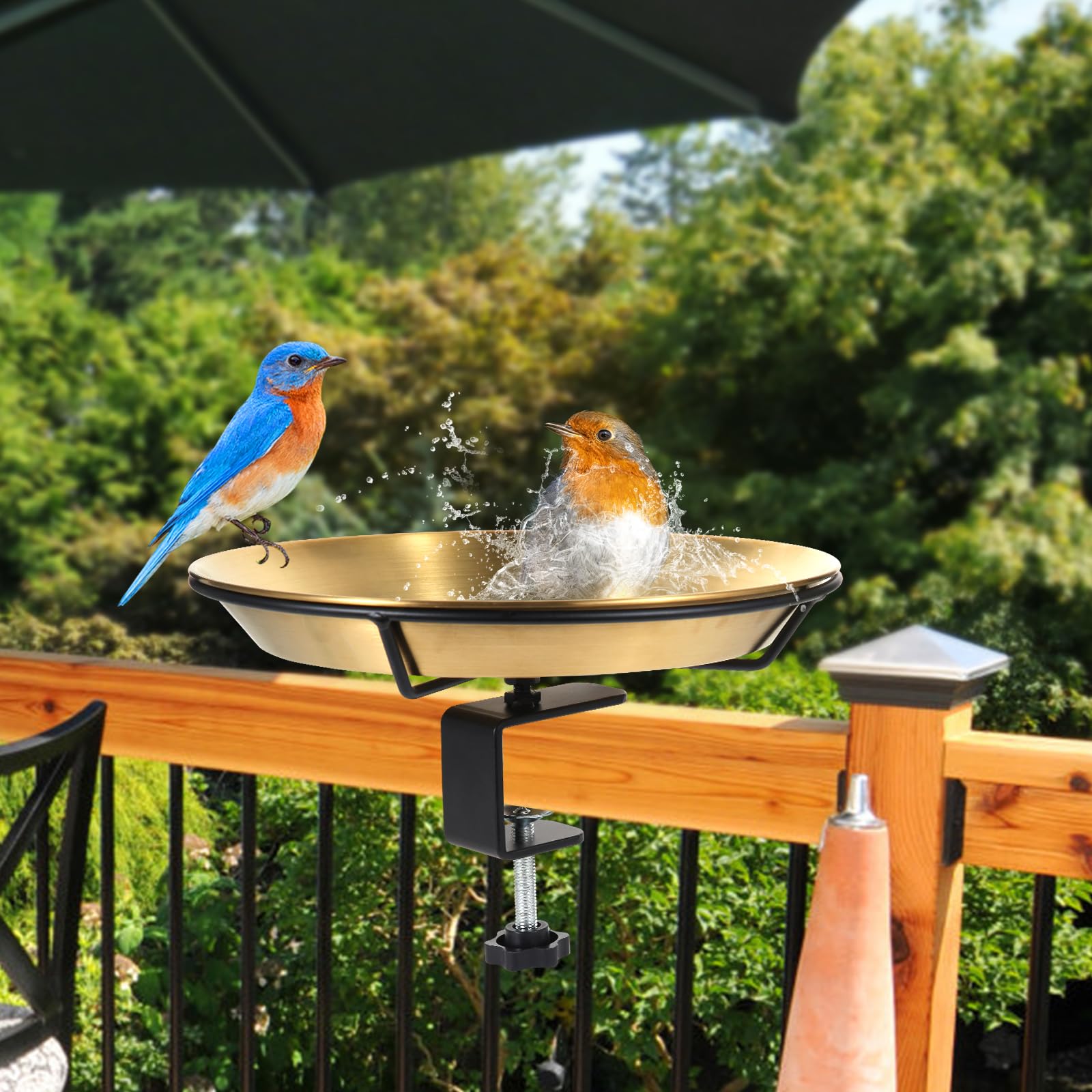 HRAYLTOP Tazón de alimentación de Aves de baño Instalado en la Cubierta, con Clip de Hierro de 1,8 Pulgadas de Espesor - decoración extraíble al Aire Libre