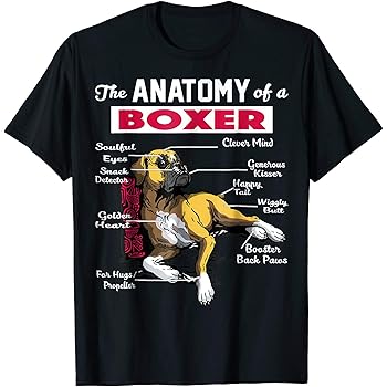 Amazon.com: Anatomía de un perro Boxer camisa – playera divertido para Boxer amante, hombre 2XL, Azul Royal: Clothing