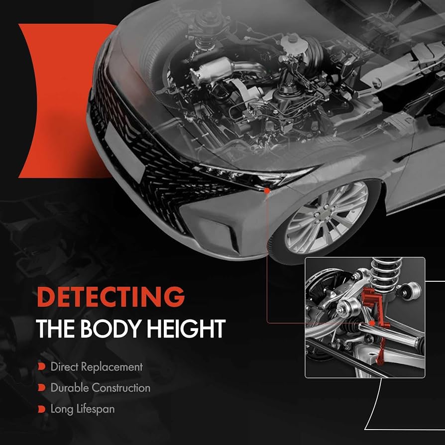 実物 RearViewHoodie Mサイズ fog frwd forward 実物 RearViewHoodie Mサイズ fog frwd forward - メルカリ