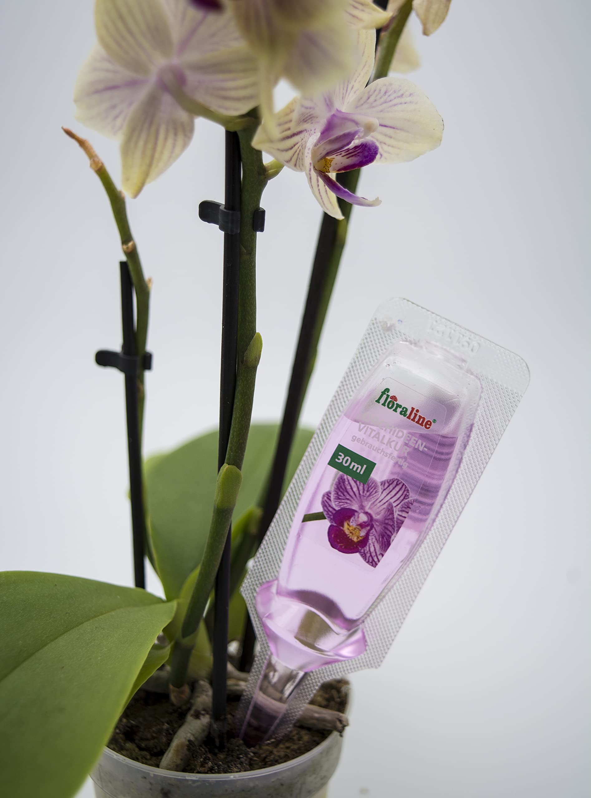 Floraline® | Lot de 10 - Cure vitale | Engrais pour orchidées pour jusqu'à 20 mois de fleurs magnifiques avec croissance et fleurs saines | Utilisation et entretien doux