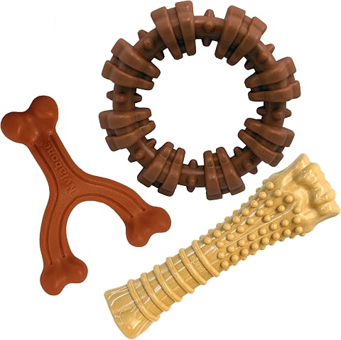 Nylabone Power Chew Toys Müşteri Favorileri Paketi - Agresif Çiğneme için Köpek Oyuncakları, Büyük Köpekler için 3 Şekil ve Tatta Yıkılmaz Köpek Oyuncakları - Lezzet Karışık, Büyük/Dev (3 Sayı)