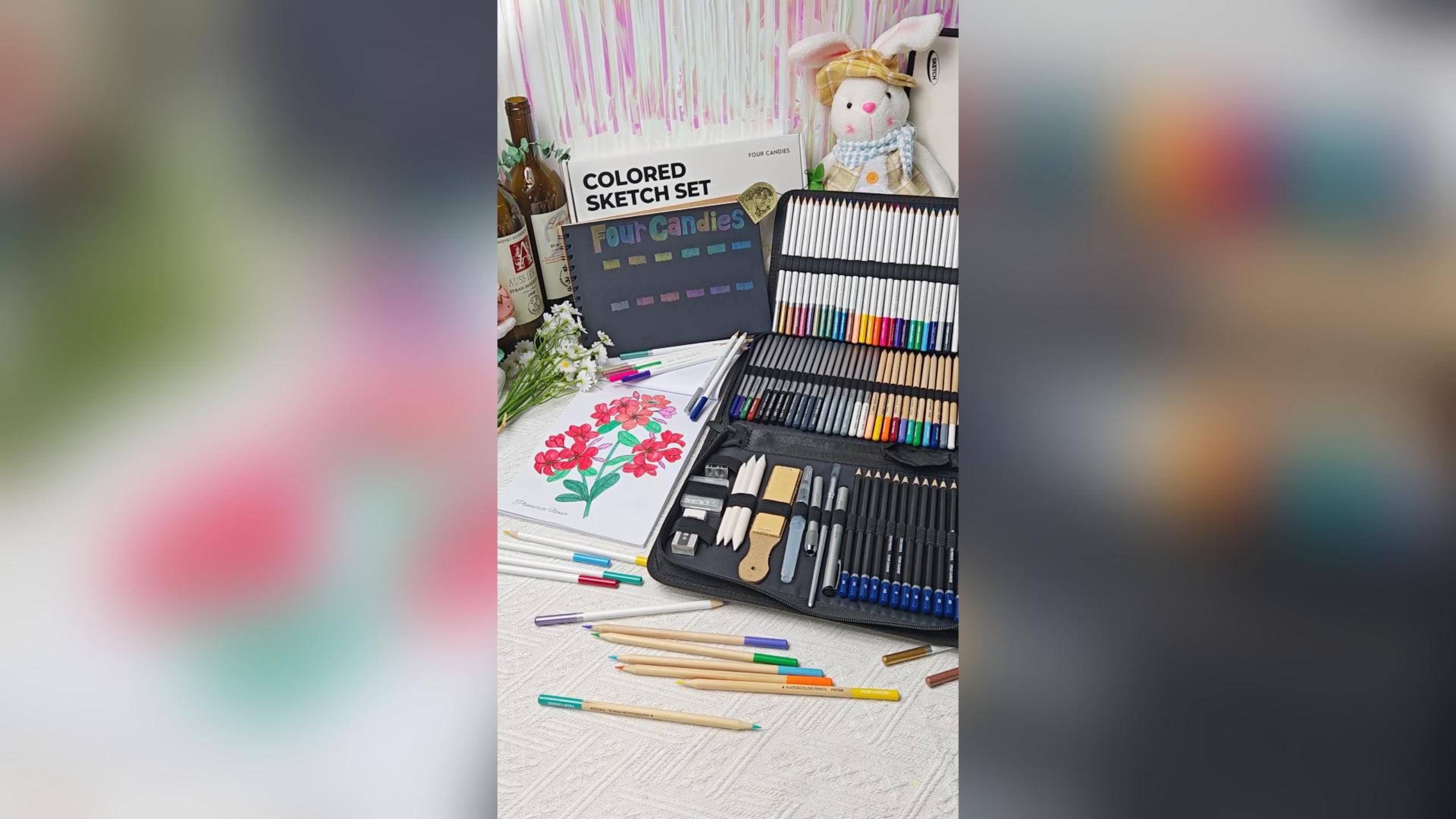 Amazon.com: Four Candies 87 Pack Sketching Kit for Artist Gifts