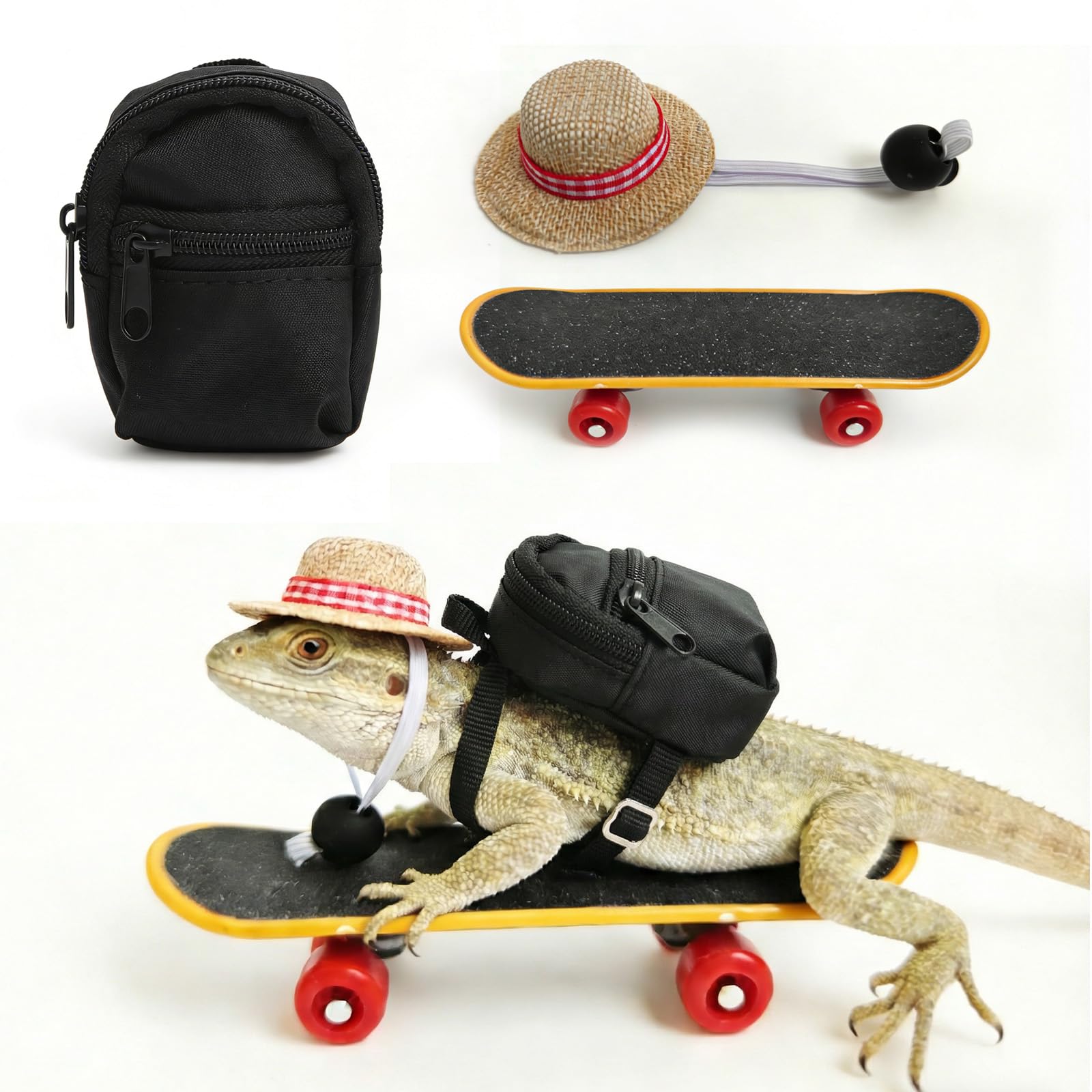 CQJ 3 Pack bearded dragon toy set includes a bearded dragon backpack, an adjustable hat, and a mini skateboard toy, for small reptile pets such as lizards, hamsters, parrots, and turtles. (Black)