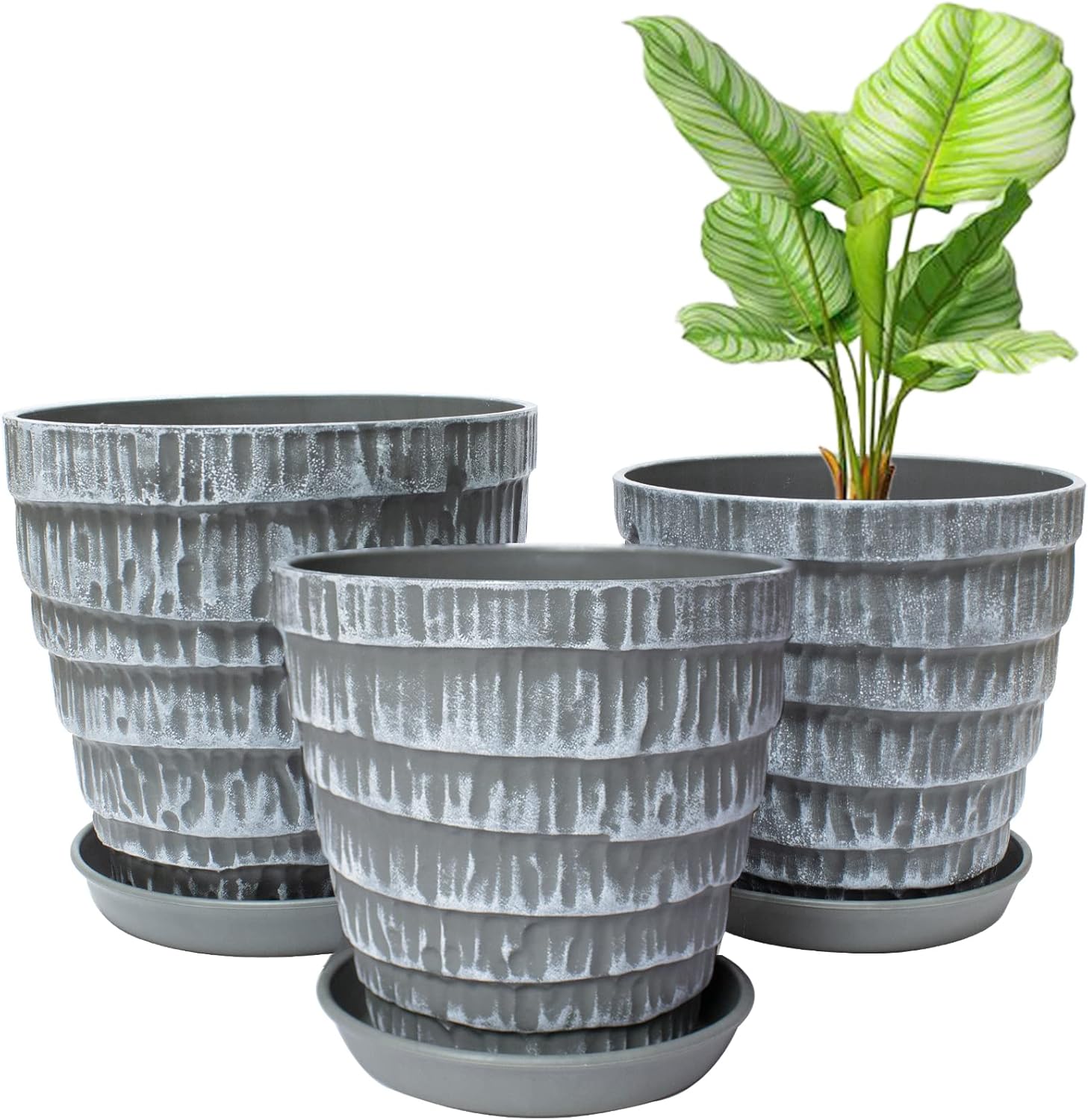 Plant Pots, 7.5/6.5/5.5 Inch Set of 3 Planters Flower Pots with Drainage Hole and Tray, Macetas Para Plantas Plastic Pots for Indoor Outdoor Plants : Patio, Lawn & Garden