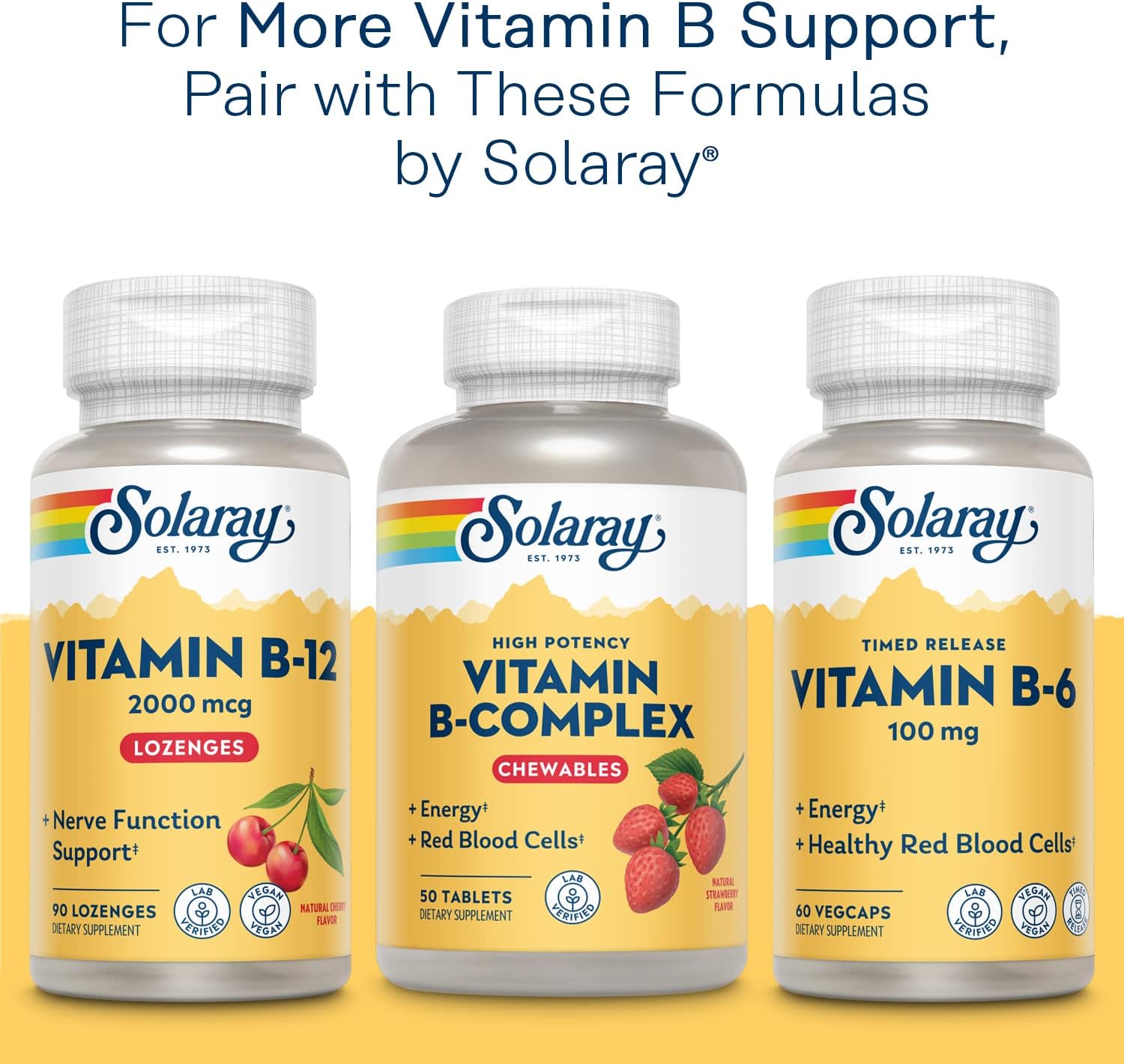 Solaray Mega B Stress Two Stage Timed Release Supplement, 120 Count