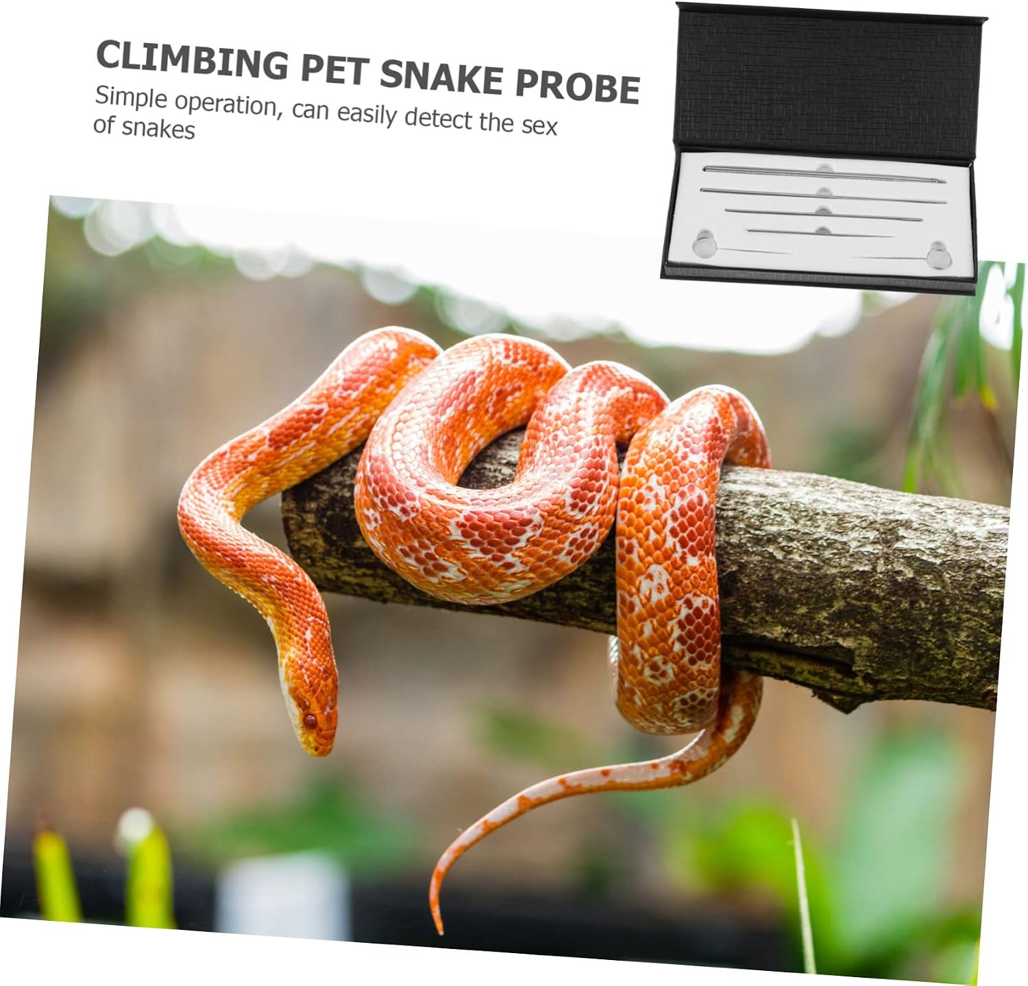 Happyyami 6Pcs Stainless Steel Snake Gender Probe Kit Reptile Sexing Tool Hypoallergenic Tips for Accurate Gender Detection for Corn Snakes and Other Reptiles