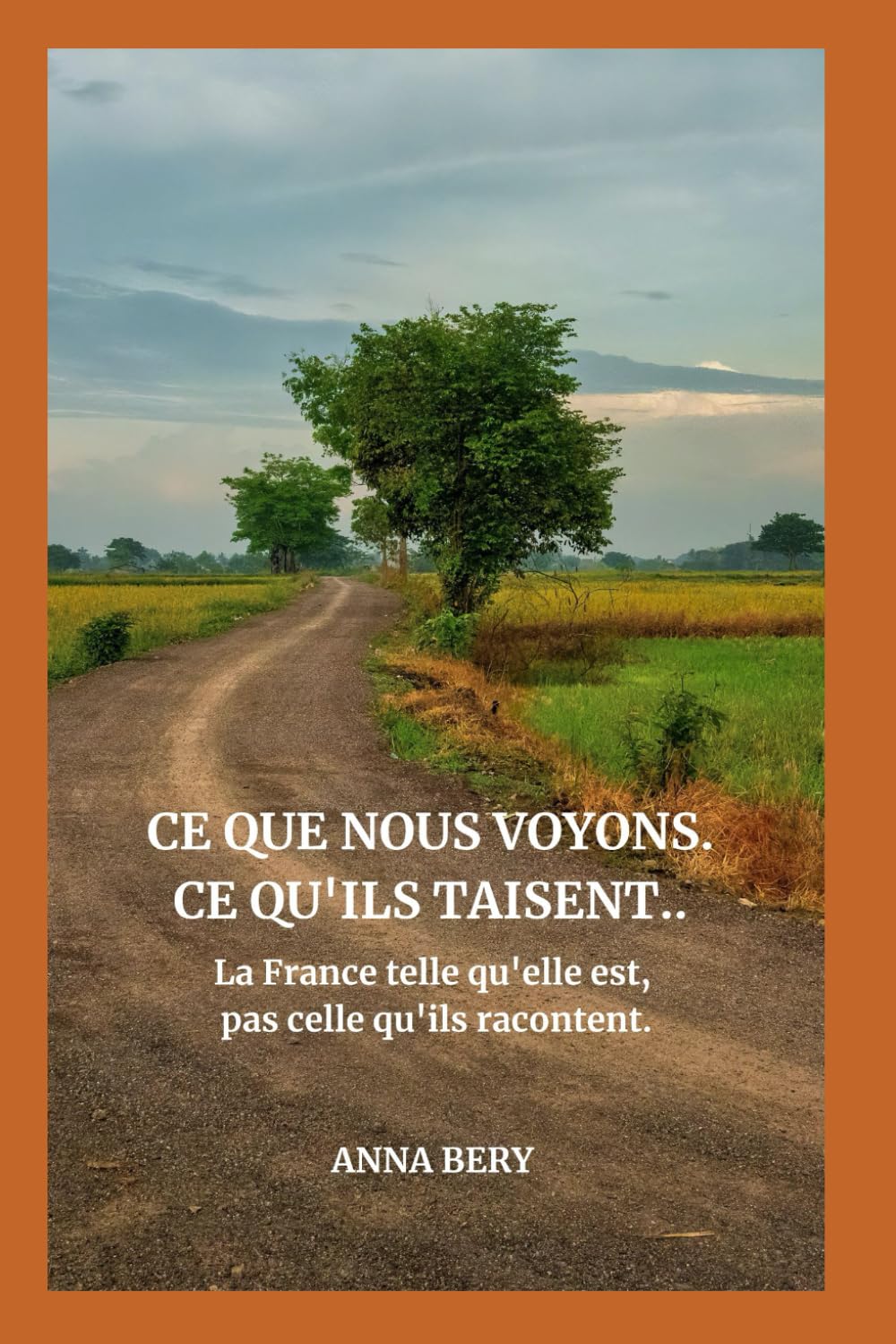 Ce que nous voyons. Ce qu’ils refusent de voir.: Le pays tel qu’il est. Pas tel qu’on nous le raconte.