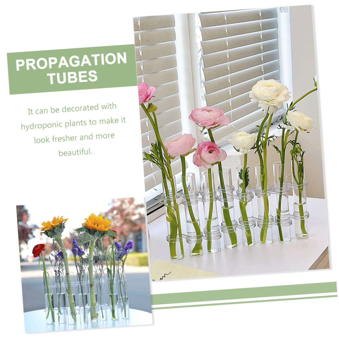 DECHOUS Vases Hydroponiques Verre Jardinières De Propagation pour Petites Plantes Terrarium Suspendu Intérieur pour Bureau Maison