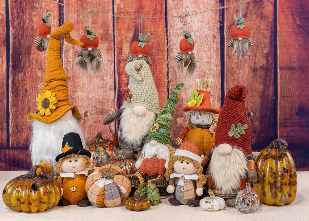 Amazon.co.jp: Boston International Gnome ハロウィンデコレーション