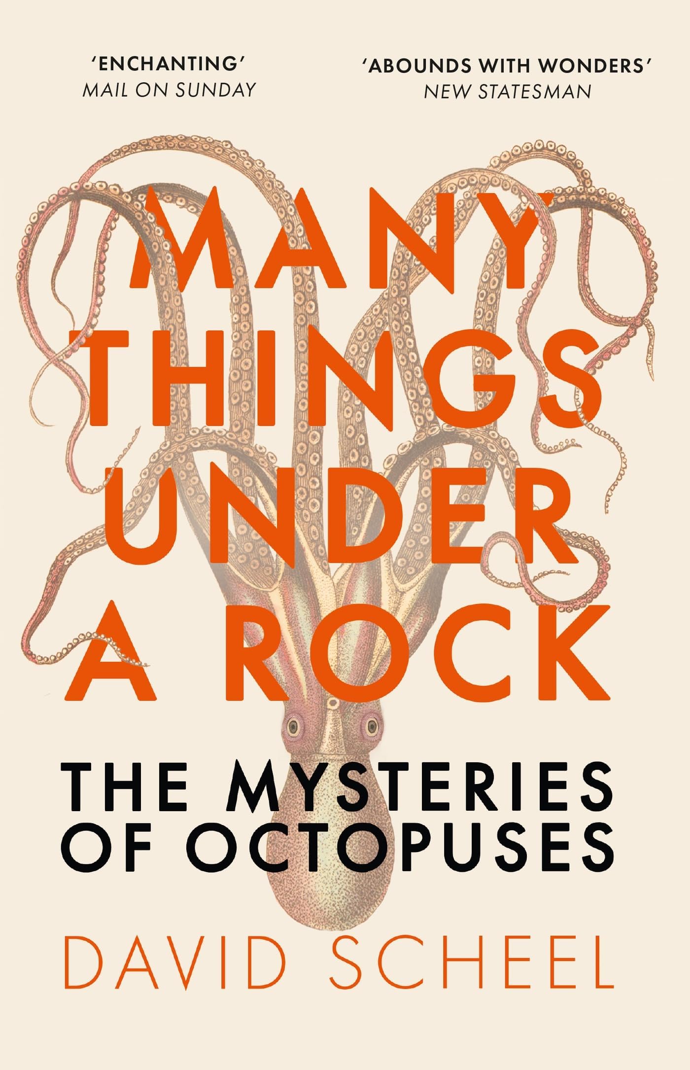 Many Things Under a Rock: The ‘mind-blowing’ book that reveals the mysteries of the octopus, perfect for all science enthusiasts and fans of David Attenborough