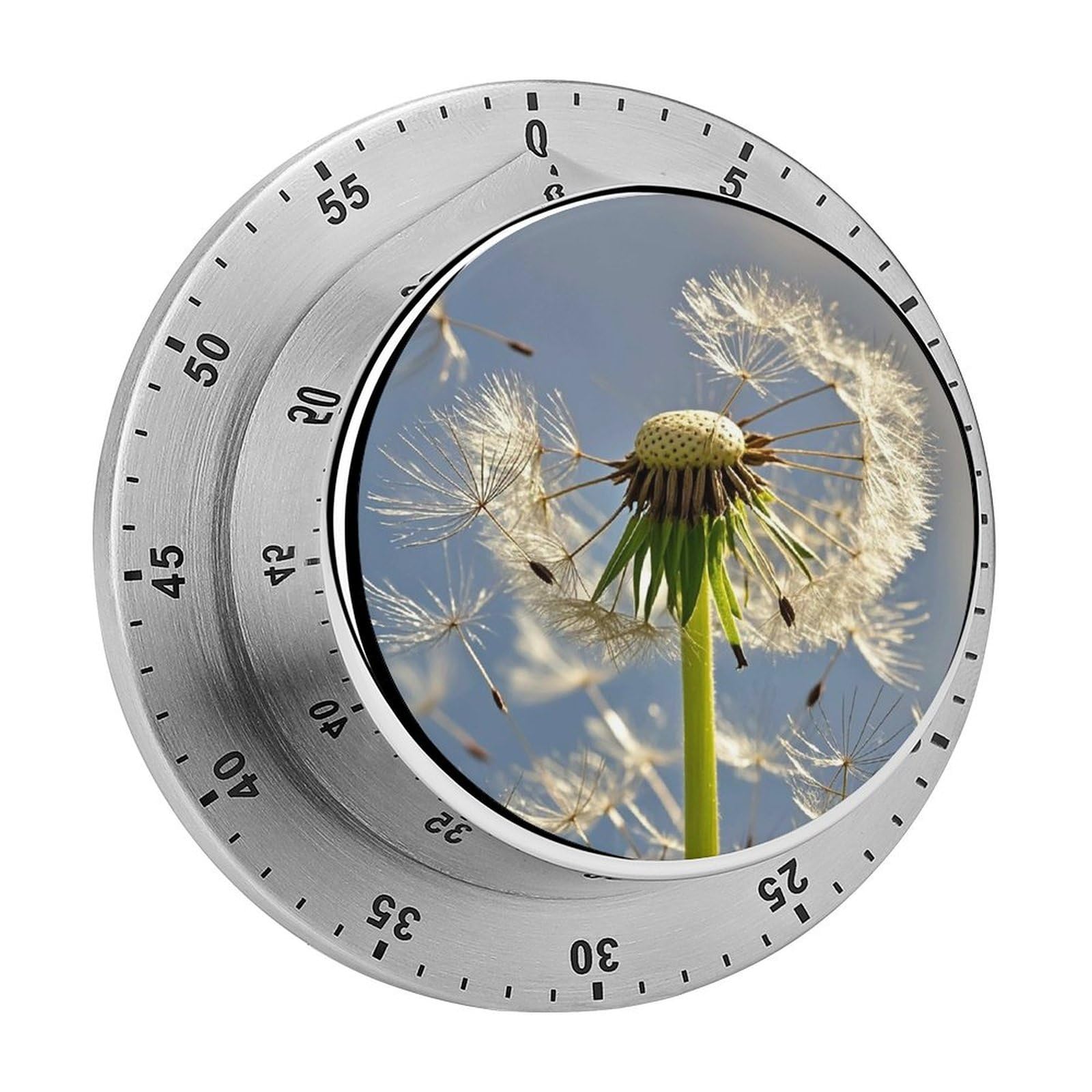 Dandelion Kitchen Timers for Cooking Chef Stainless Steel Timer Clock with Loud Alarm Mechanical 60 Minute Wind Up Timers No Batteries Required Manual Countdown Timer